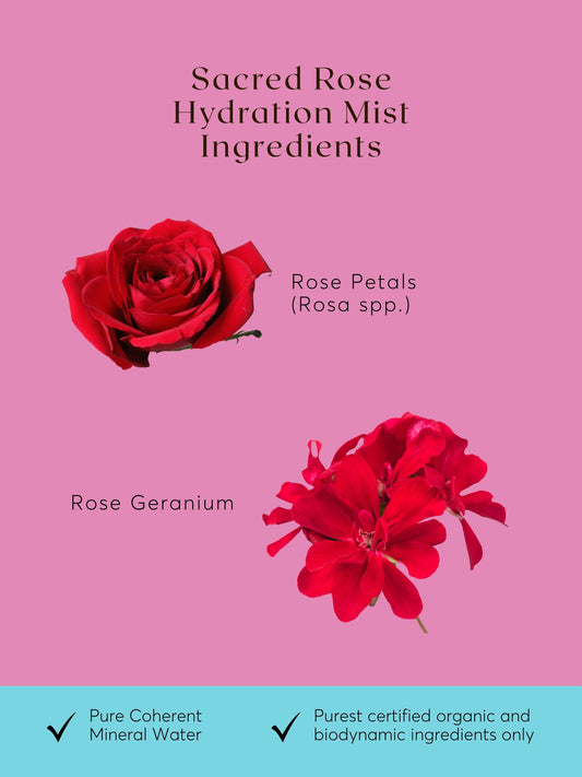 Sacred Rose Botanical Aura Mist - Hand-Crafted Rose Petal Aromatic Spray - Glass Bottle - Small-Batch Artisan Made in Tennessee - Gift