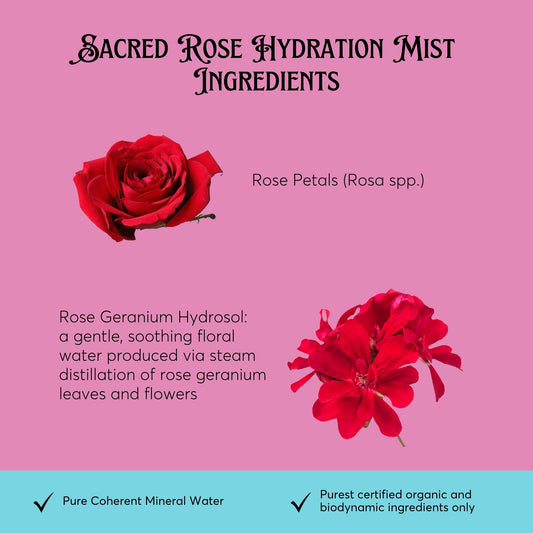 Sacred Rose Botanical Aura Mist - Hand-Crafted Rose Petal Aromatic Spray - Glass Bottle - Small-Batch Artisan Made in Tennessee - Gift
