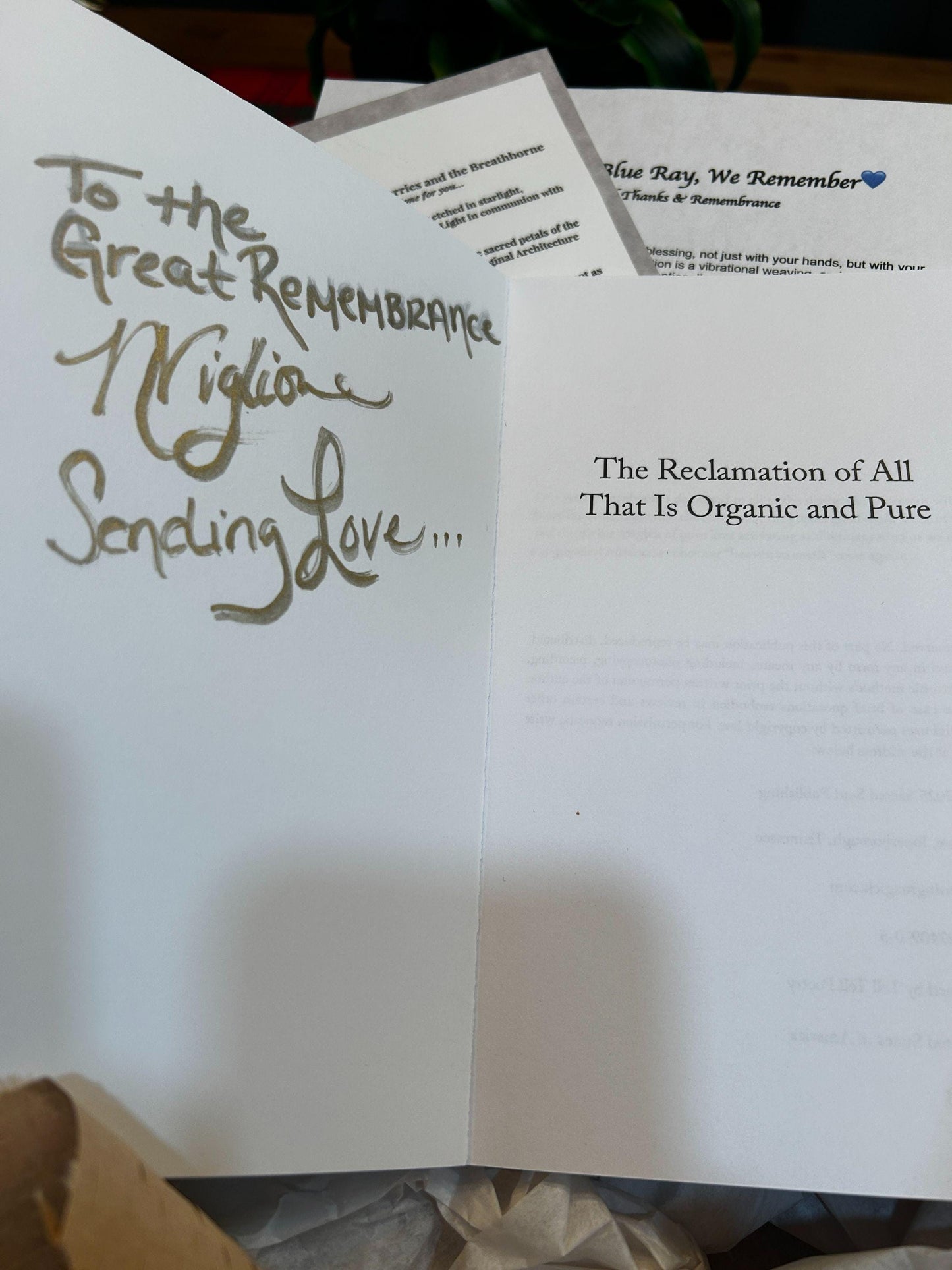 Harmony Through the Blue Ray of Creation | Signed Poetry Chapbook | Sacred Blessing Edition | Spiritual Poetry | Mystical Gift