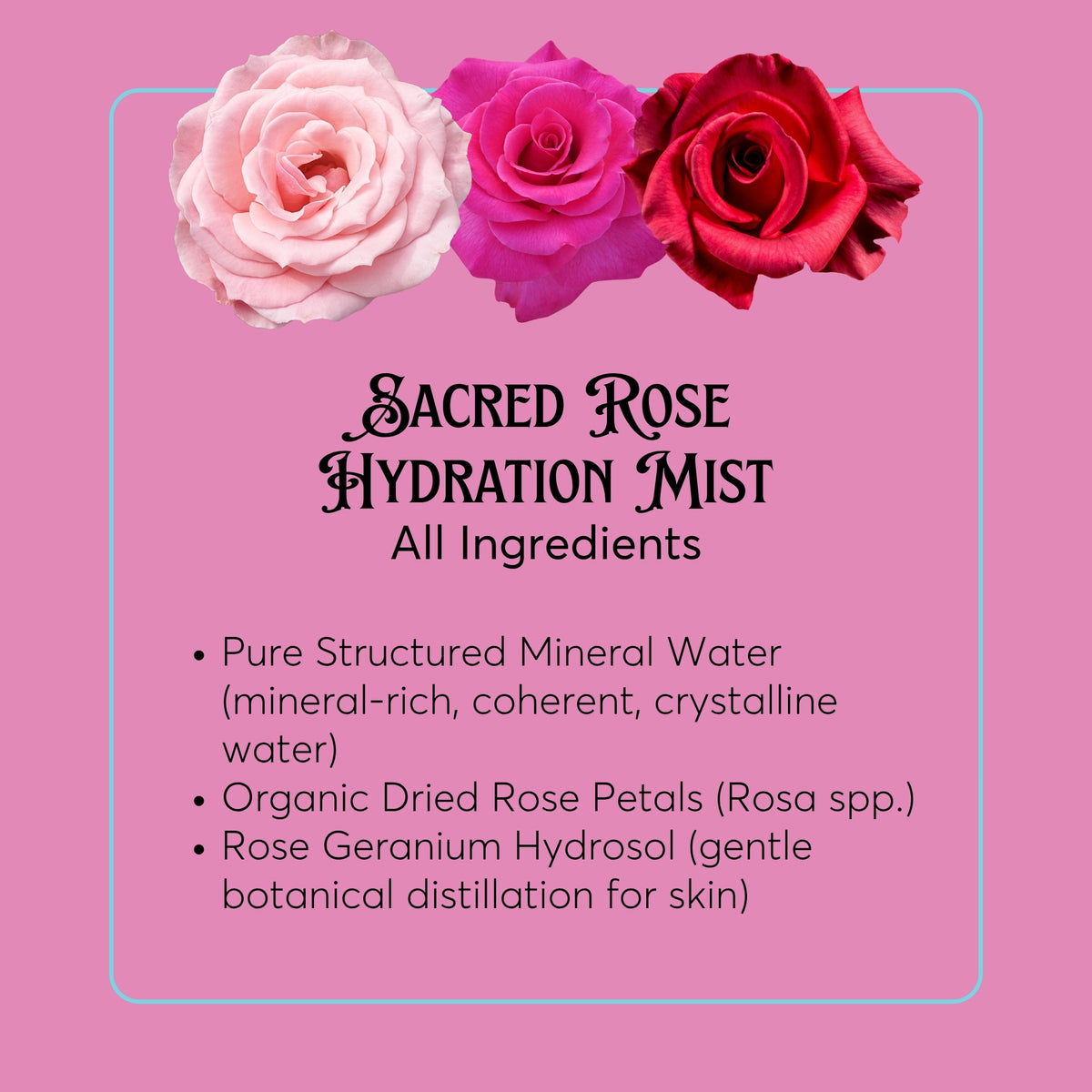 Sacred Rose Botanical Aura Mist - Hand-Crafted Rose Petal Aromatic Spray - Glass Bottle - Small-Batch Artisan Made in Tennessee - Gift